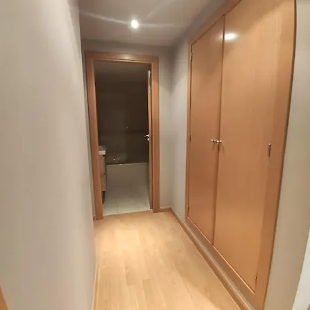 Vive 하카
